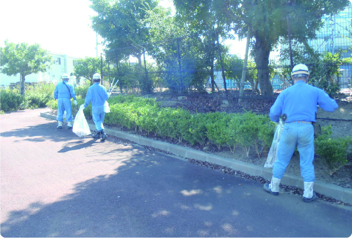 Cleaning up the Areas Surrounding Our Plants