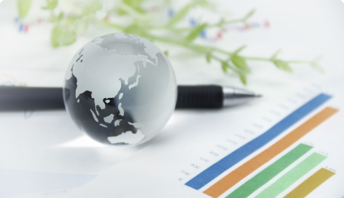 Sustainability Management Framework
