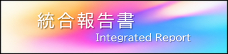 統合報告書